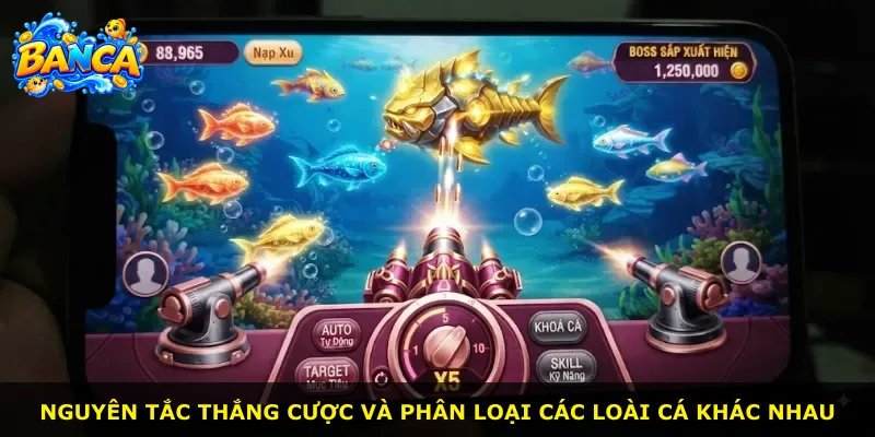 Nguyên tắc thắng cược và phân loại các loài cá khác nhau