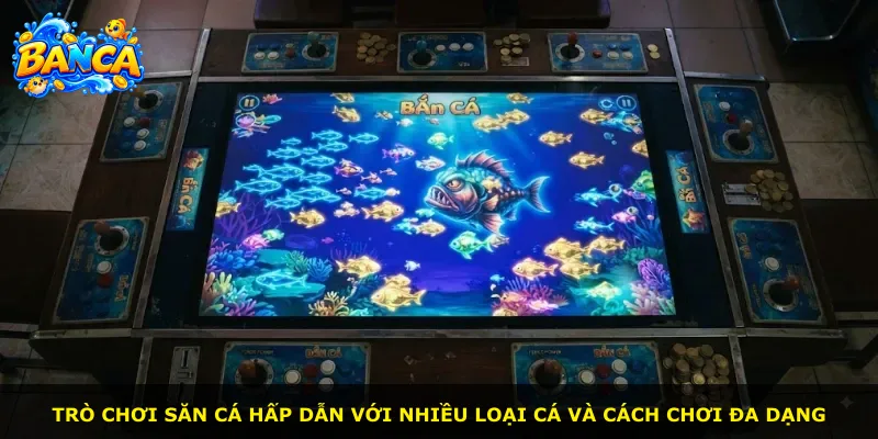 Trò chơi săn cá hấp dẫn với nhiều loại cá và cách chơi đa dạng